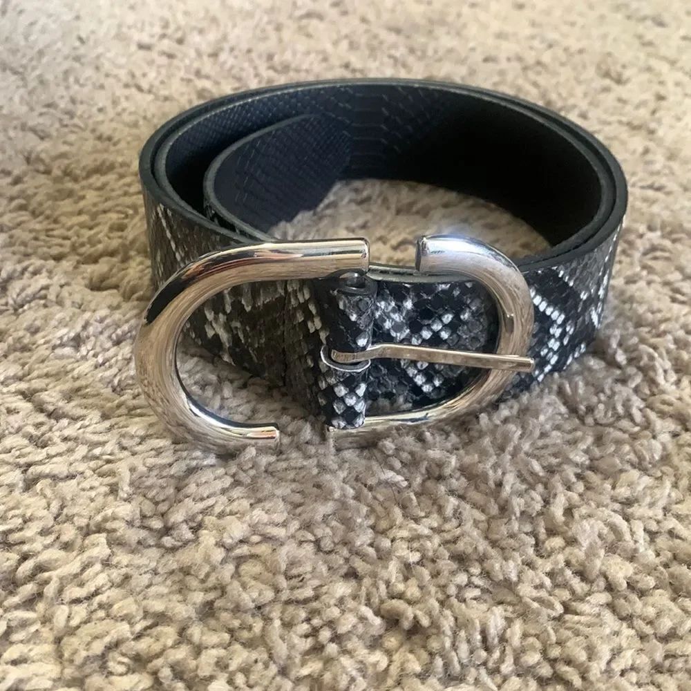Grey Snakeskin Looking Belt